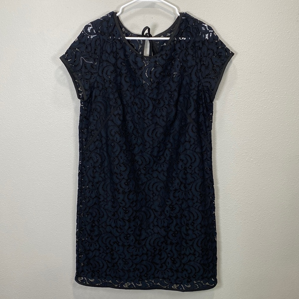 Loft Lace dress blue black straight shift